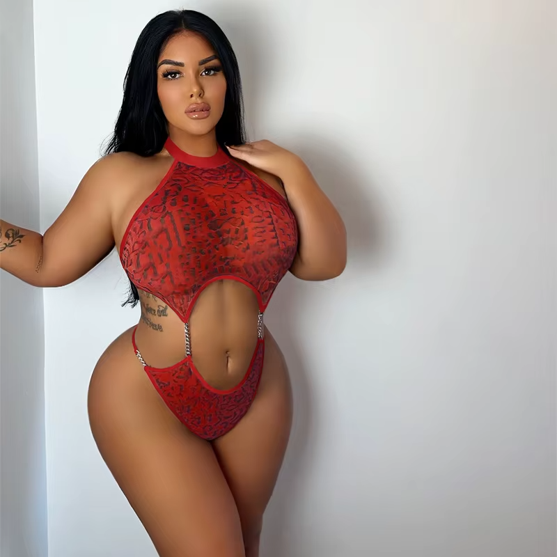 Sexy Leopard Print Bodysuit Women’s Sheer Mesh Cut Out Teddy Lingerie One Piece